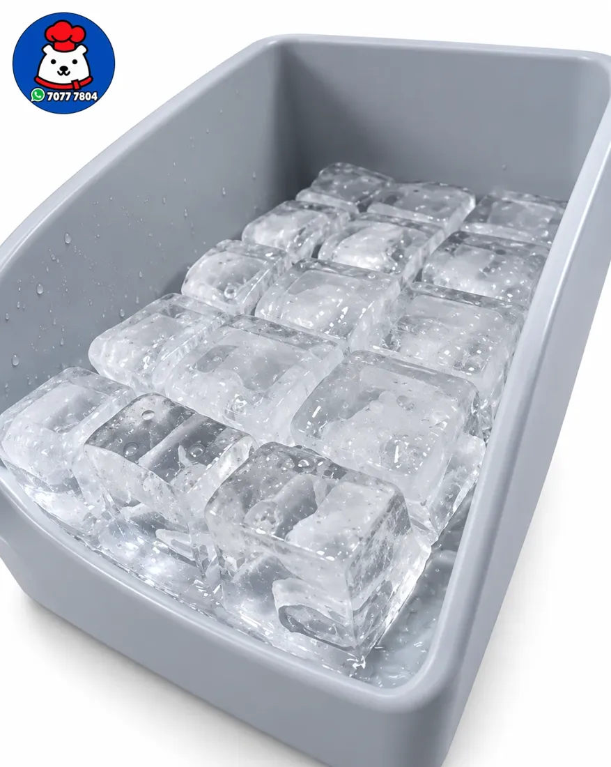 Vista 14 de Máquina de hielo Plus / 40kg